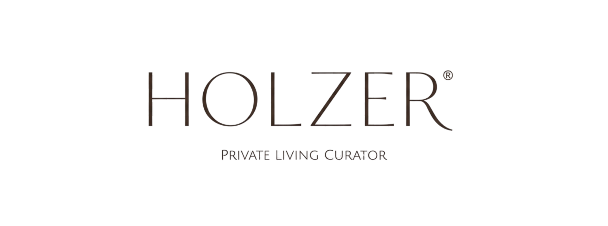 logo transp holzer final