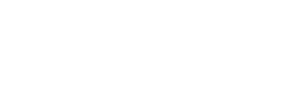 logo transp holzer final branco